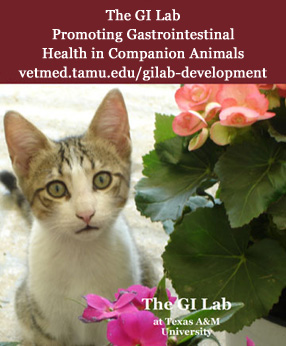 GI Lab - Promoting Gastrointestinal Health in Companion Animals