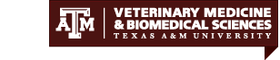 Jan S. Suchodolski, MedVet, DrVetMed, PhD, AGAF, DACVM - Texas A&M ...