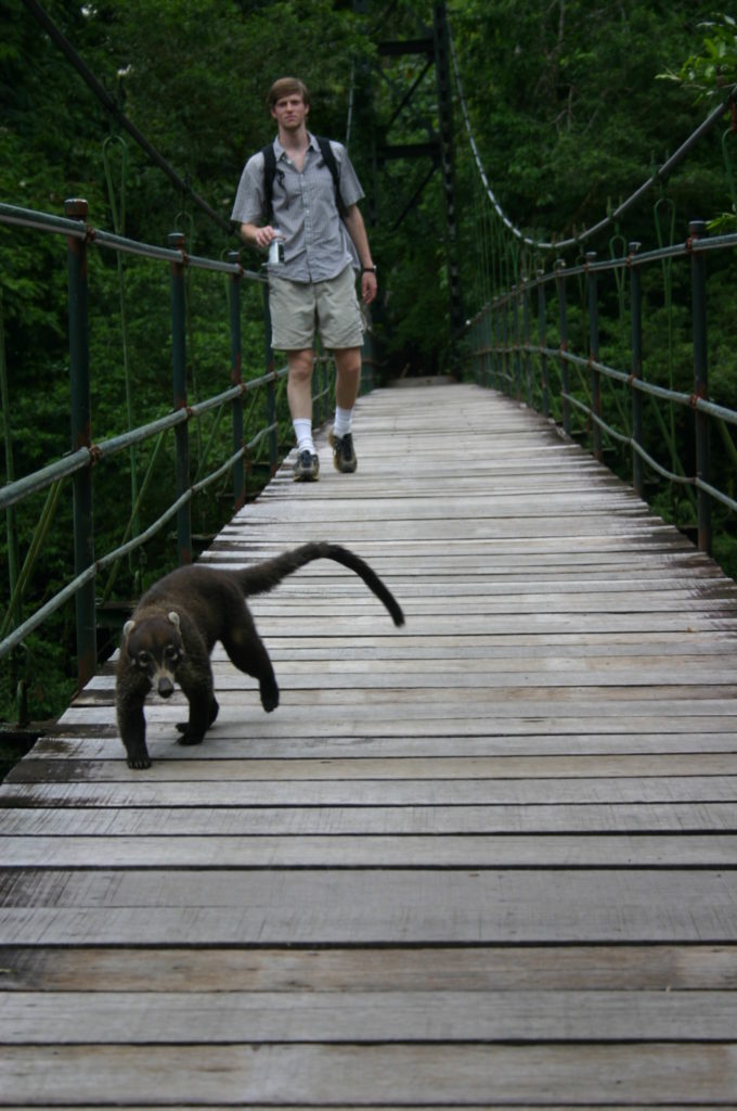 male student on bridge with lemur or sloth