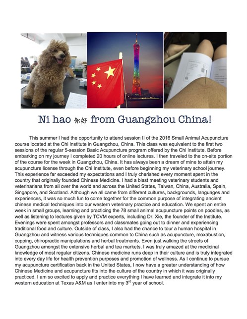 text about Guangzhou, China
