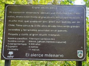 Sign with specifications of El Gran Abuelo