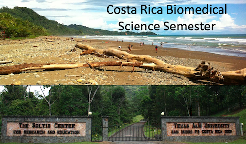 People walking in the distance on a tropical beach and front gate of The Soltis Center, the location of this program abroad