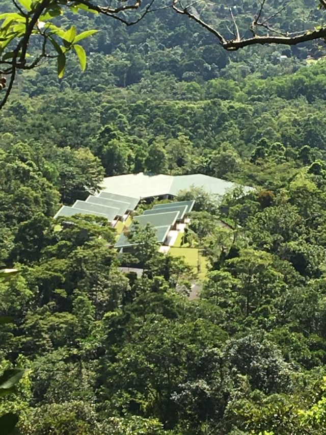 View of The Soltis Center from the canopy tower.