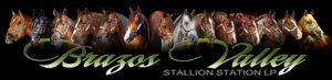 Brazos Valley Stallion Station LP logo