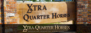 Xtra Quarter Horses logo