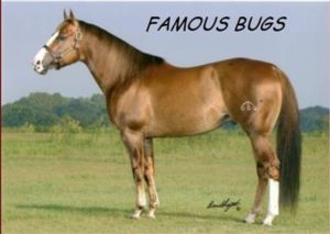 stallion breeding