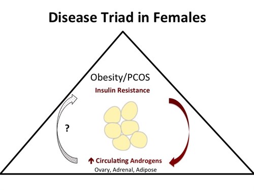 Disease Triad in Females
