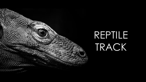 Reptile Track