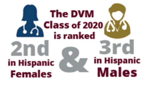 DVM class of 2020 is ranked 2nd in Hispanic Females and 3rd Hispanic Males