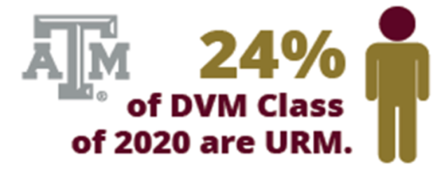 24% of the DVM Class od 2020 are URM