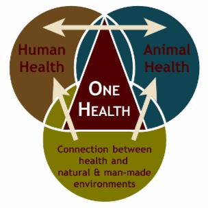 One Health Diagram