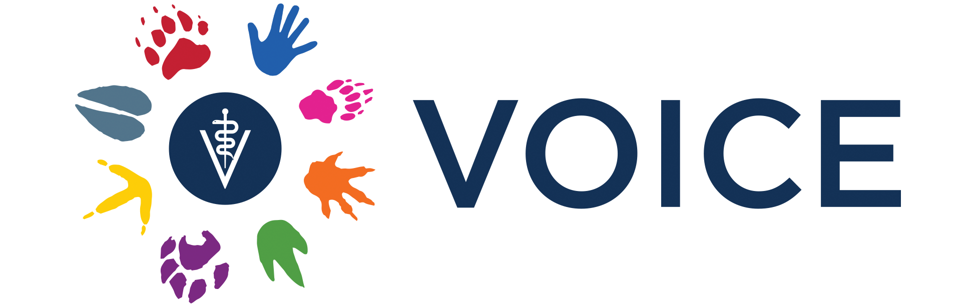 logo of VOICE