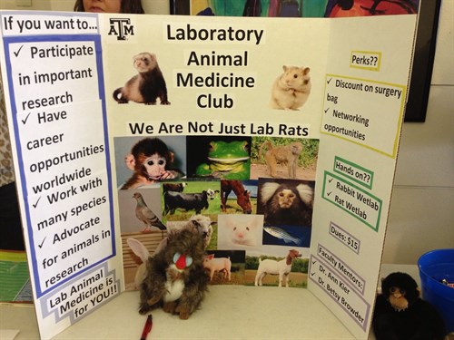 Laboratory Animal Medicine - Student AVMA (SAVMA)