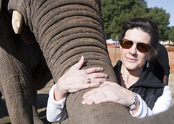 Dr. Alice Blue-McLendon with elephant