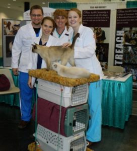 Charity Cat Show
