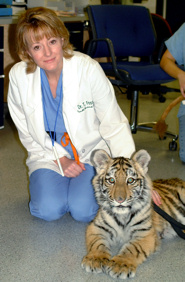 Dr. Theresa Fossum and Tiger
