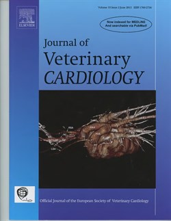 Journal cover featuring the CT image
