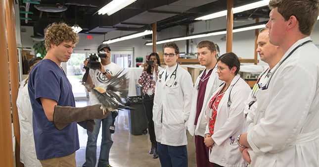 CVM veterinary students at the HSPCA are filmed as part of the television show "Animal Cops Houston."