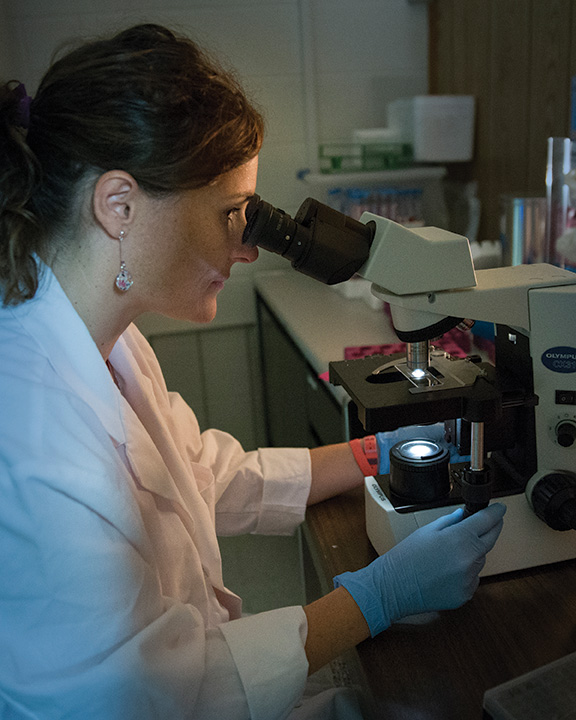 Texans help researchers map Lyme disease in Texas