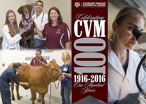 CVM Today - Summer 2015 by Texas A&M School of Veterinary Medicine