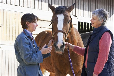 bigstock-vet-in-discussion-with-horse