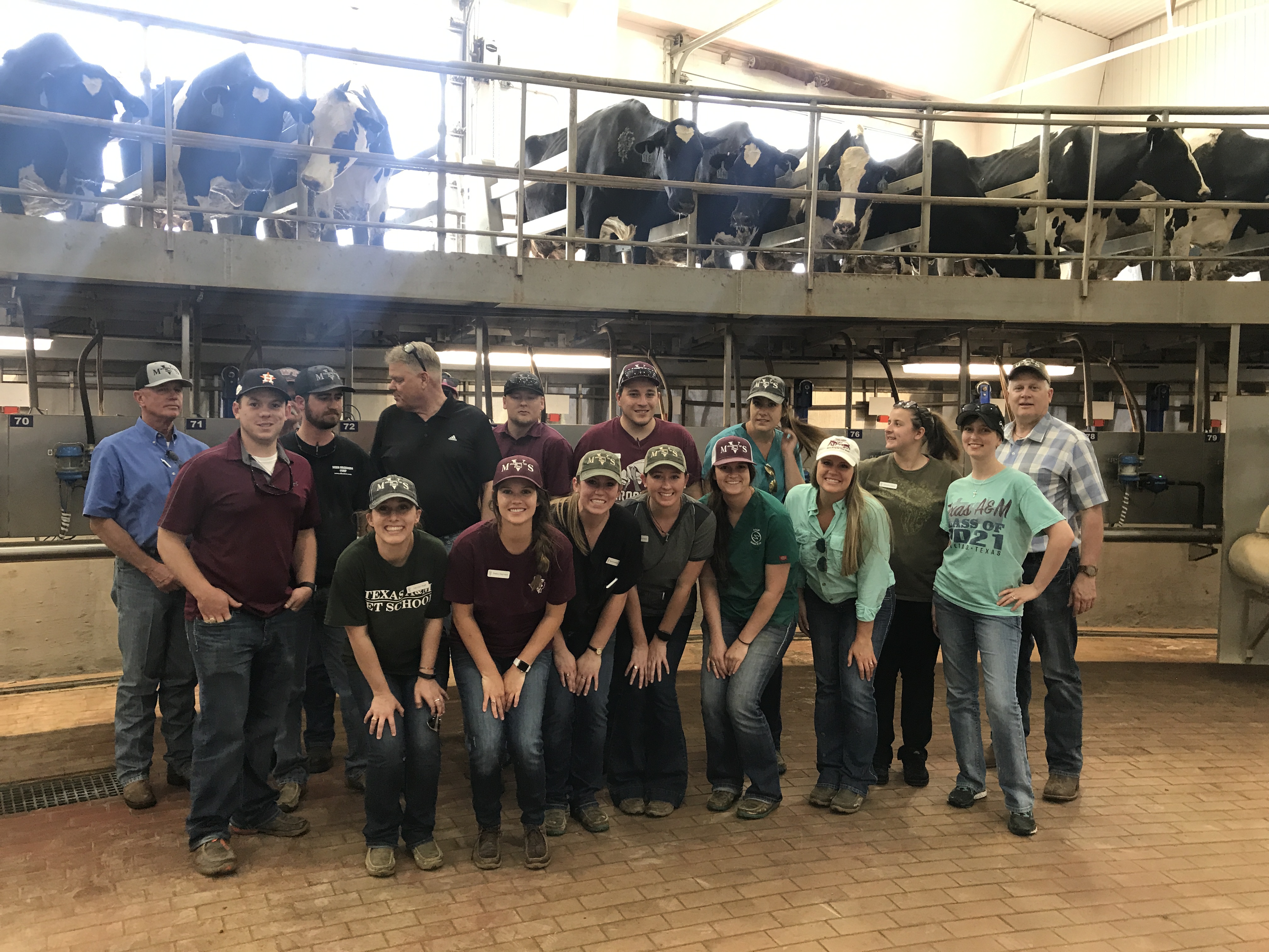 A group of students pose for the camera in an indoor facility, with a row of black and white cows looking down from an upper level in the room.