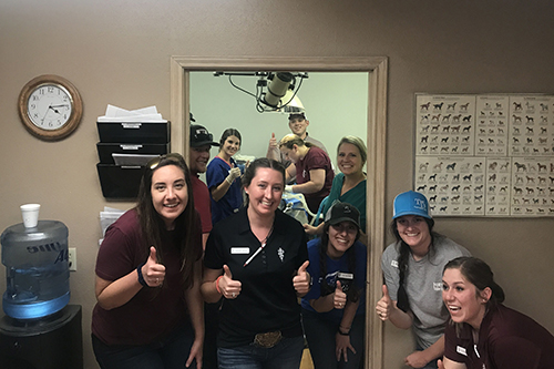 A group of student, Hannah Johnson in center in black shirt, give thumbs up in front of a doorway, through which you can partially see a veterinarian preforming a surgery