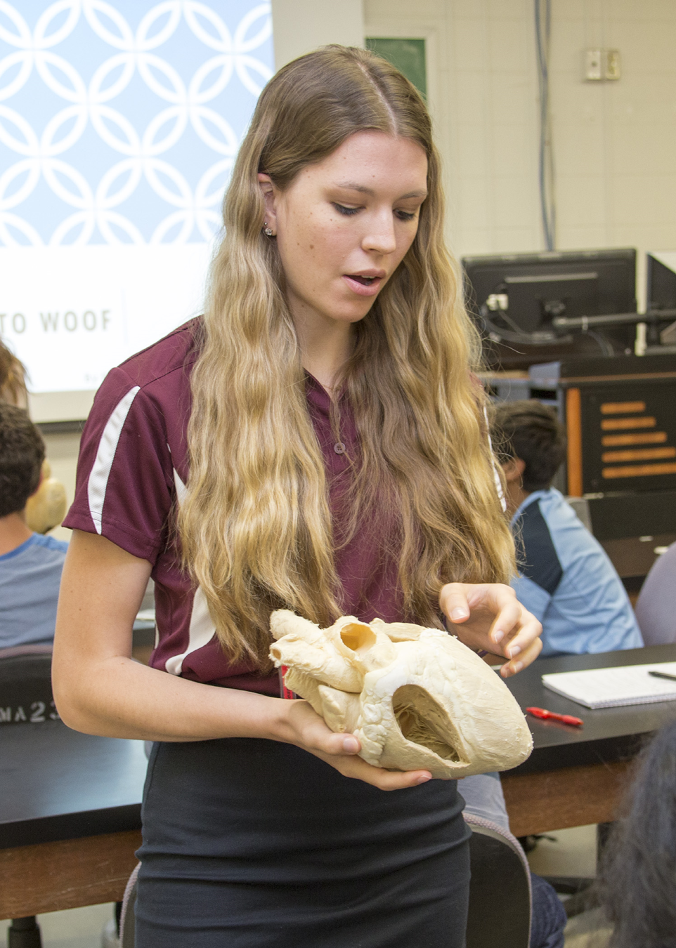 A college student in a maroon shirt and black skirt holds an anatomical heart