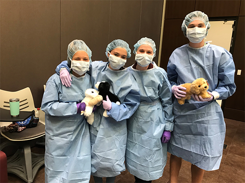 Four students wearing blue medical gowns, surgical hair caps, gloves, and face masks hold stuffed dogs with bandages.