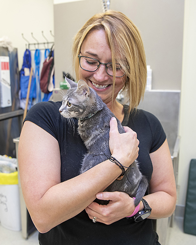 Dr. Alison Diesel hold Crouton, a small grey tabby cat