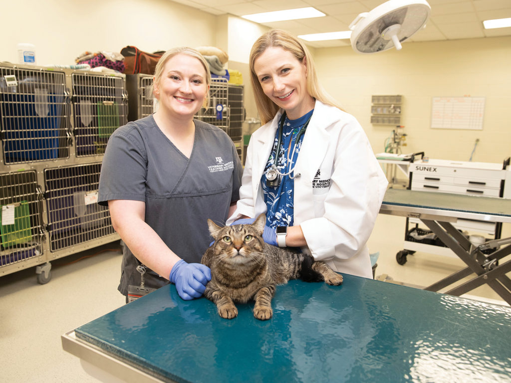 Robles and Jarvis standing behind an exam table that a brown tabby cat is laying on