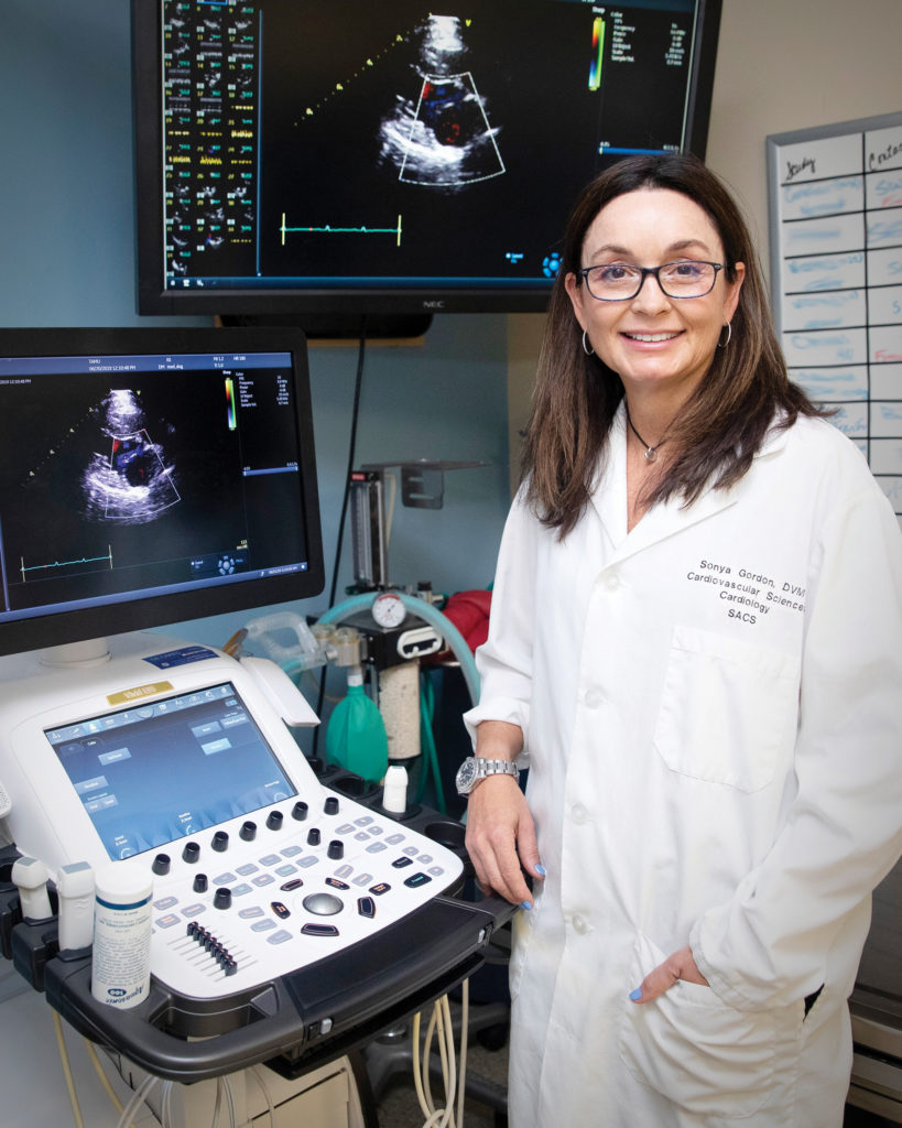 Dr. Sonya Gordon in front of screens showing heart scans