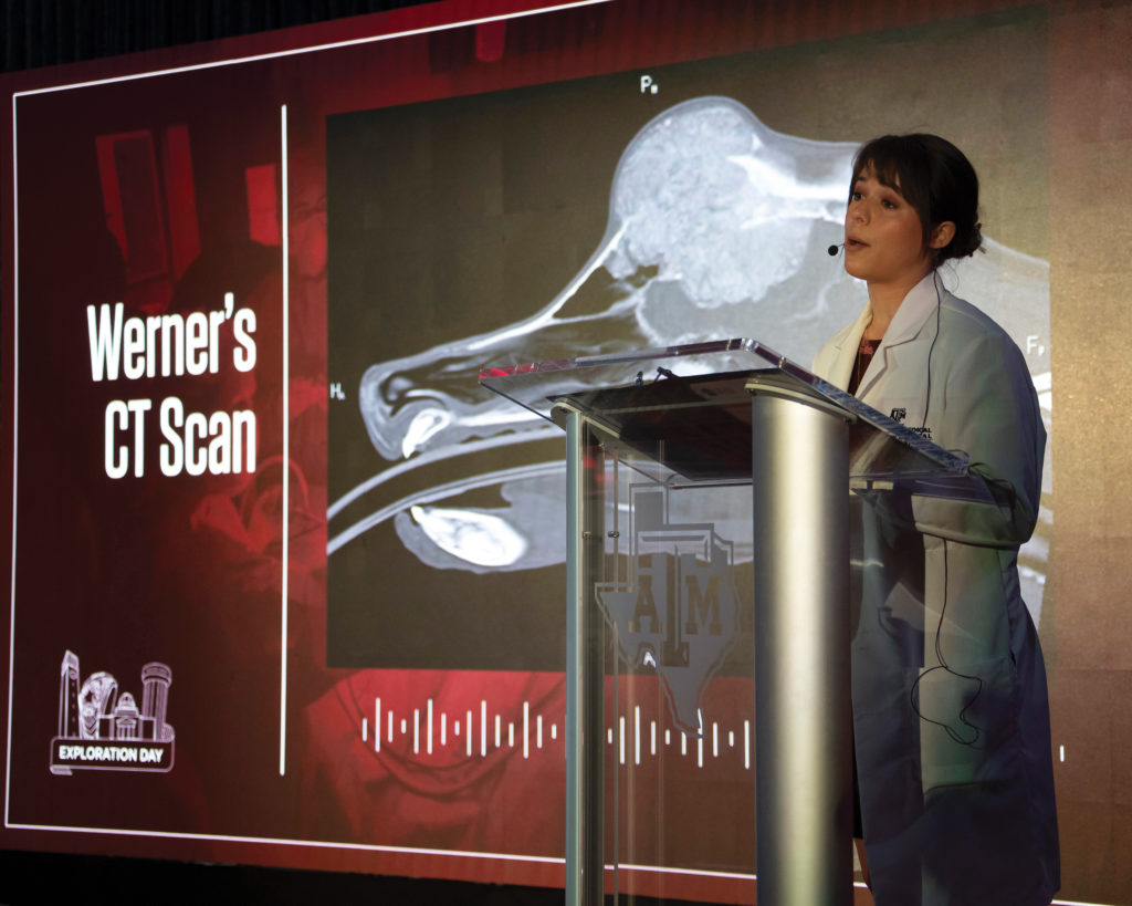 Woman speaking on stage in front of screen showing Werner's brain scan