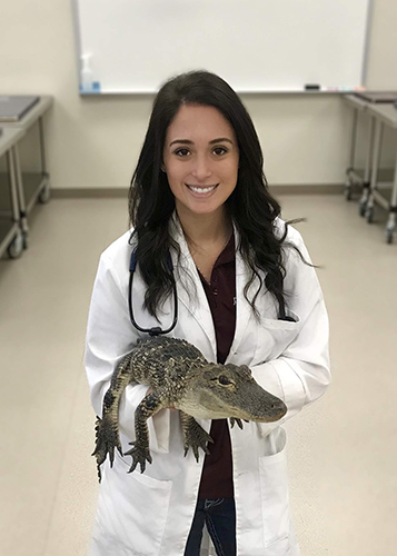 Rachel Ellerd holding a baby alligator