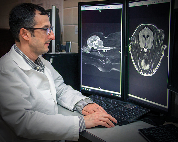 Dr. Jonathan Levine looks at images of scans