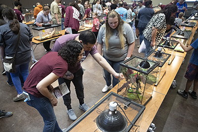 The Reptile Room at the 2019 Veterinary School Open House full of people and reptile tanks