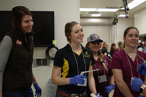 Veterinary students from three different colleges