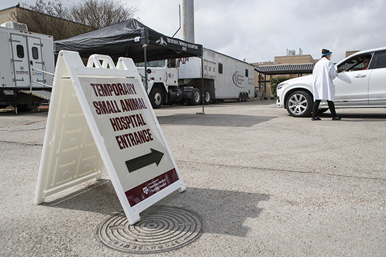 A sign pointing to the new temporary entrance for the Texas A&M Small Animal Hospital, with a staff member helping a client in the backgrond