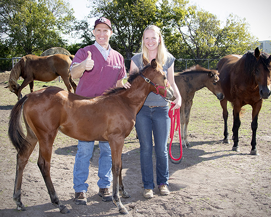 Dr. Noah Cohen and graduate student Susie Kahn with a foal