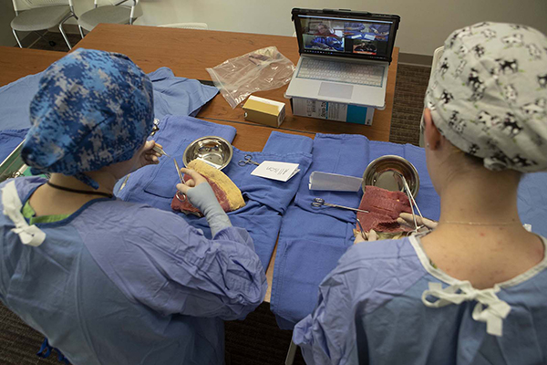 Two students practice surgery on models