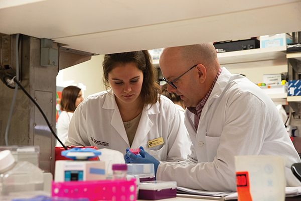 Dr. Michael Golding and Alexis Roach working in the lab