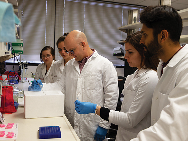 Dr. Michael Golding, Kara Thomas, Alexis Roach, Dr. Nicole Mehta, and Yudishtar Bedi working in the lab