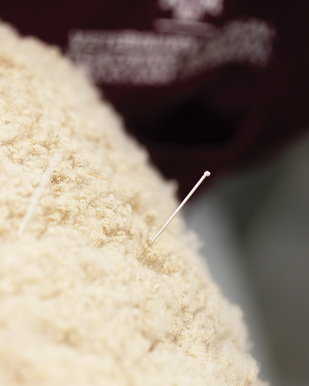 An acupuncture needle in a sheep