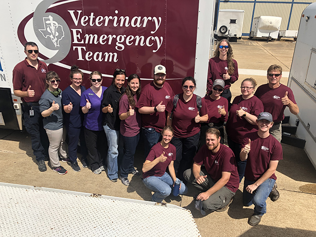 The Texas A&M Veterinary Emergency Team