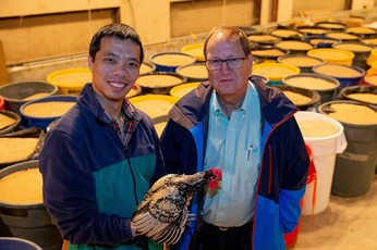 two male researchers hold a chicken in front of large receptacles of grain in a warehouse