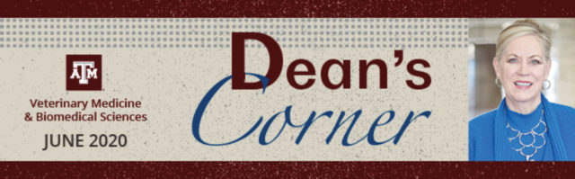 the header image for the june 2020 edition of the Dean's Corner newsletter