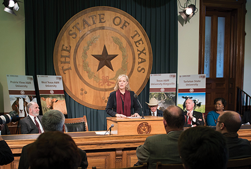 Dean Green testifies at the Texas Legislature