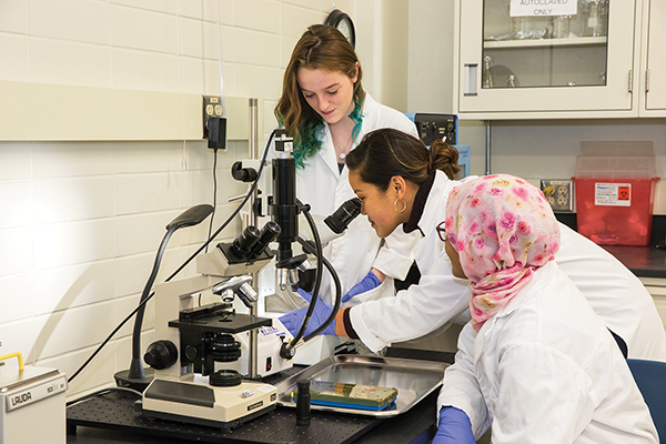 From left: BIMS majors Erin O’Connor, Janisah Saripada, and Oula Eldow using a microscope