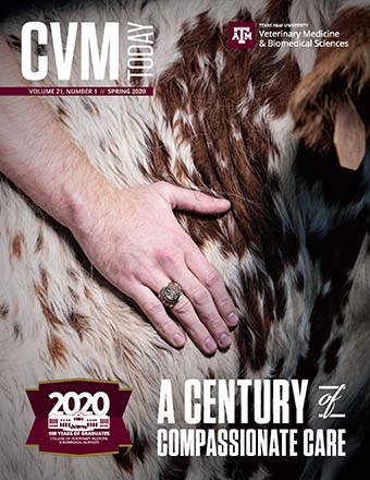 CVM Today - Summer 2015 by Texas A&M School of Veterinary Medicine