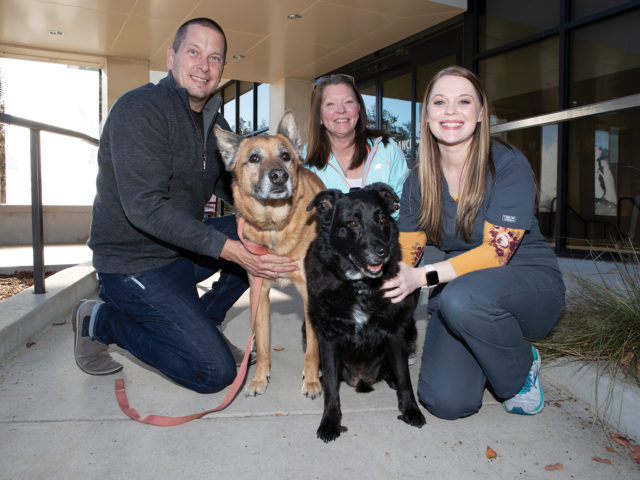 Three people and two dogs sit in front of the Texas A&M Small Animal Hospital entrance